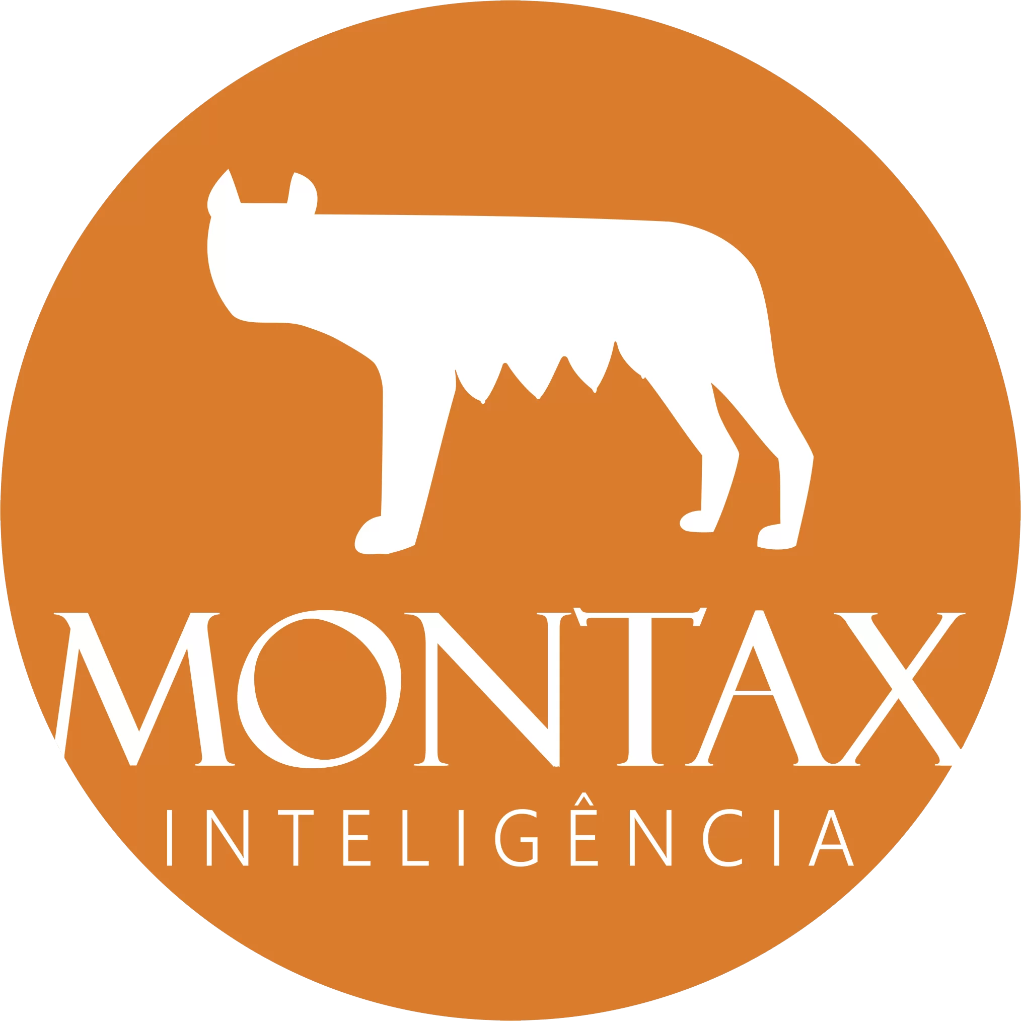 Montax Inteligência